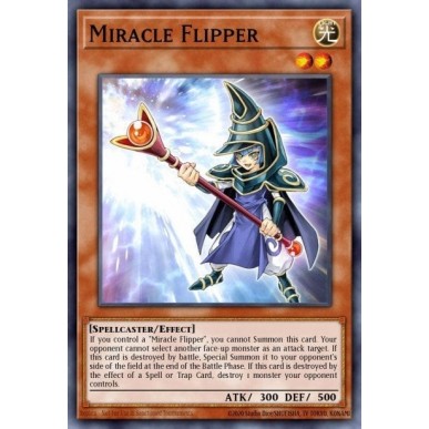 Miracle Flipper