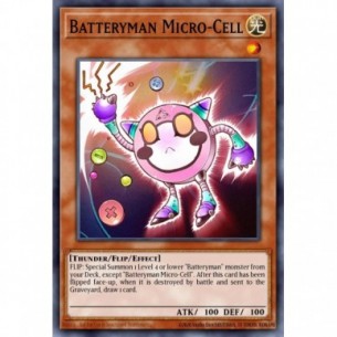 Uomo Batteria Micro-Pila