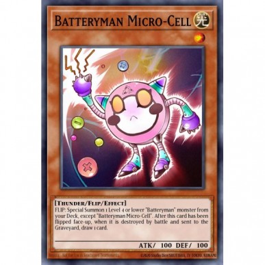 Uomo Batteria Micro-Pila