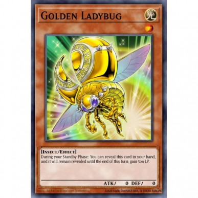 Golden Ladybug