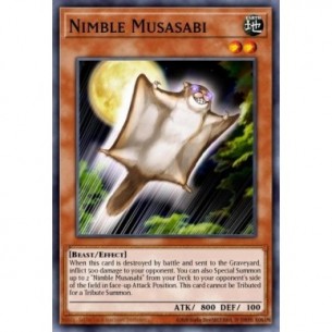 L'Agile Musasabi