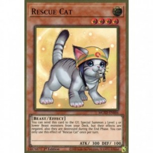 Gatto da Soccorso (V.2 -...