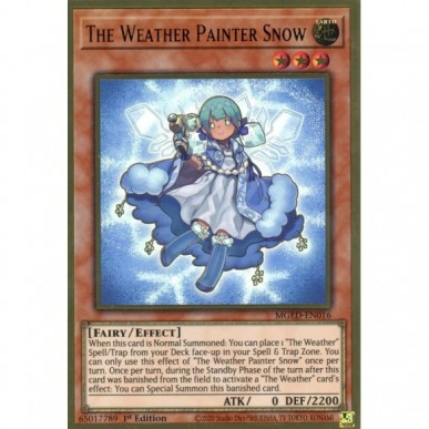 Pittrice Metereologica Neve (V.1 -...
