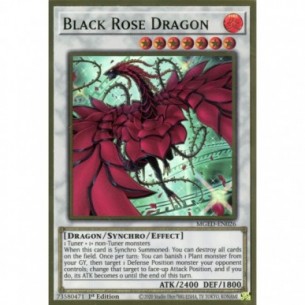 Drago Rosa Nera (V.2 -...