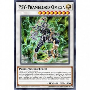 PSI-Strutturasignore Omega
