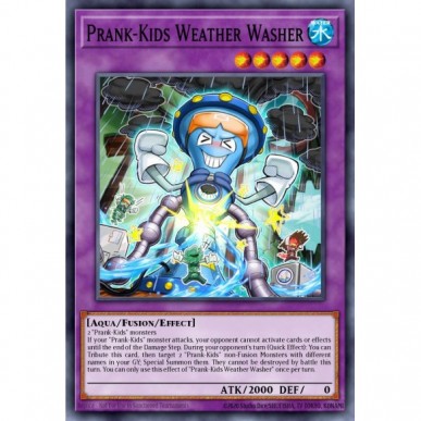 Prank-Kids Weather Washer