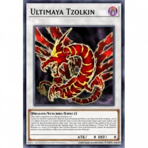 Ultimaya Tzolkin