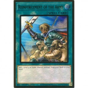 Rinforzi dell'Esercito