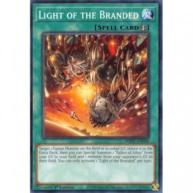 Luce del Marchiato
