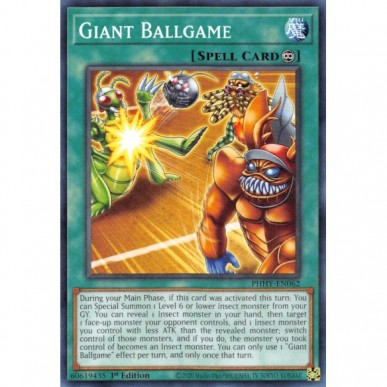 Gioco di Palla Gigante