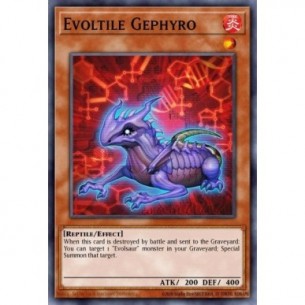 Evoltile Gephyro