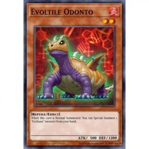 Evoltile Odonto