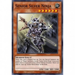 Ninja Senior Argento