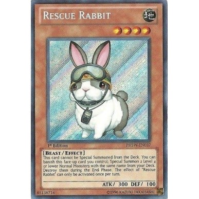 Coniglio da Soccorso