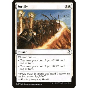 Fortificare