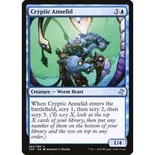 Anellide Criptico