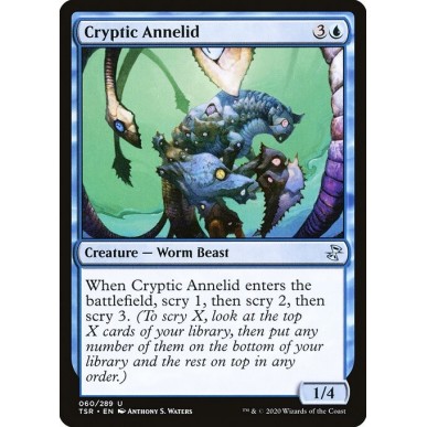 Anellide Criptico