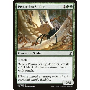 Ragno della Penombra