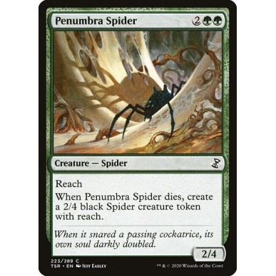 Ragno della Penombra