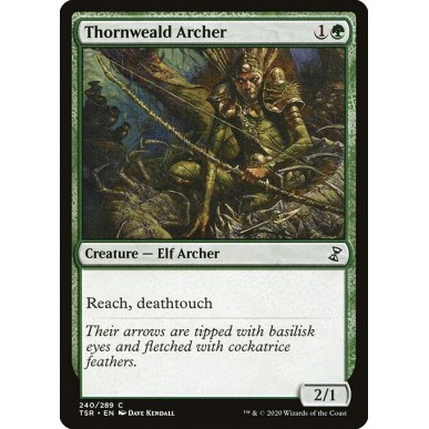 Arciere della Foresta Spinata