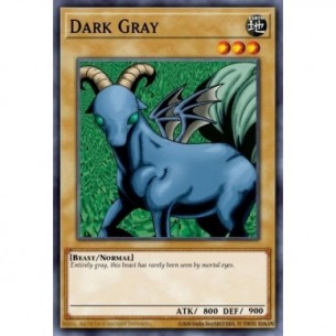 Dark Gray (V.1 - Common)