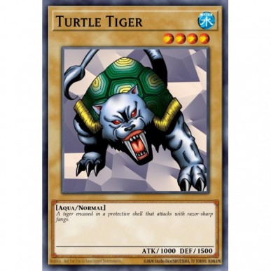 Turtle Tiger (V.1 - Common)
