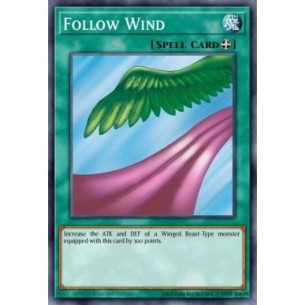 Follow Wind (V.1 - Common)