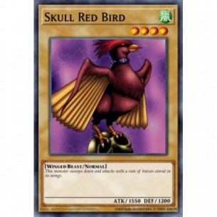 Skull Red Bird (V.1 - Common)