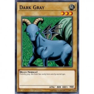 Dark Gray (V.2 - Common)