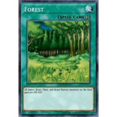 Forest (V.2 - Common)
