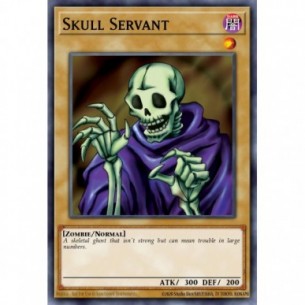 Skull Servant (V.3 - Common)