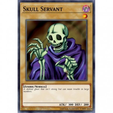 Skull Servant (V.3 - Common)