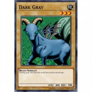 Dark Gray (V.3 - Common)