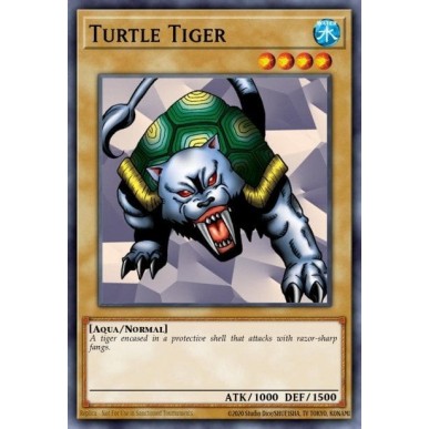 Turtle Tiger (V.3 - Common) Turtle Tiger (V.3 - Common)