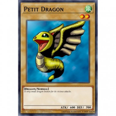 Petit Dragon (V.3 - Common)