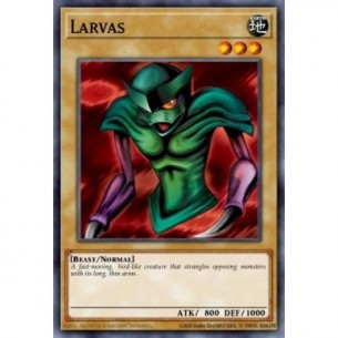Larvas (V.2 - Common)