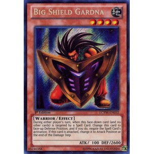 Big Shield Gardna