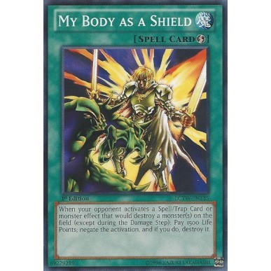 My Body as a Shield