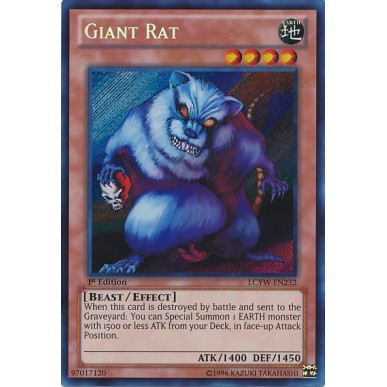 Giant Rat