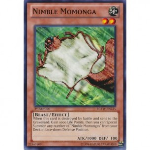L'Agile Momonga