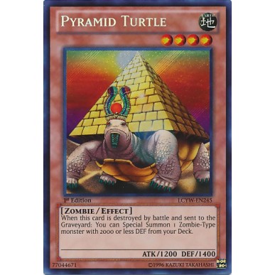 Pyramid Turtle