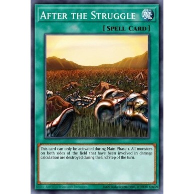 After the Struggle (V.1 - Rare)