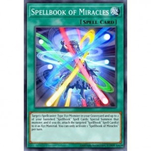 Libro di Magia dei Miracoli