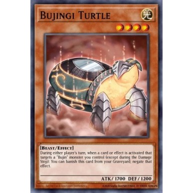 Bujingi Turtle