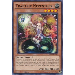Trappolatrice Nepenthes