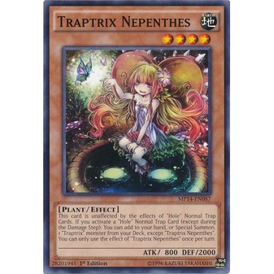 Trappolatrice Nepenthes