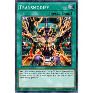 Transmodify