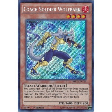 Coach Soldier Wolfbark