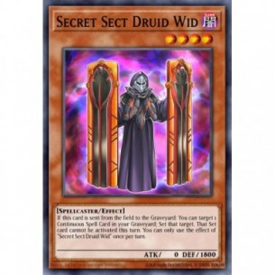 Druido Wid Setta Segreta