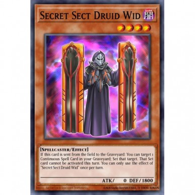 Druido Wid Setta Segreta